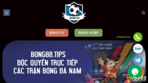 Bong88 tips - Địa chỉ cá cược bóng đá uy tín hiện nay