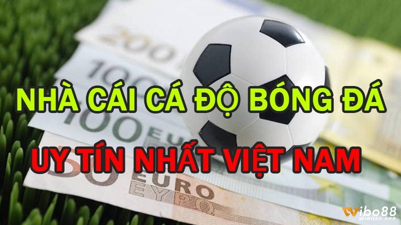 Nhà cái cá độ bóng đá uy tín vn ibet