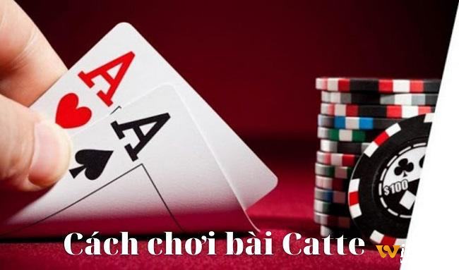 Hướng dẫn cách chơi catte chuẩn xác nhất từ các cao thủ