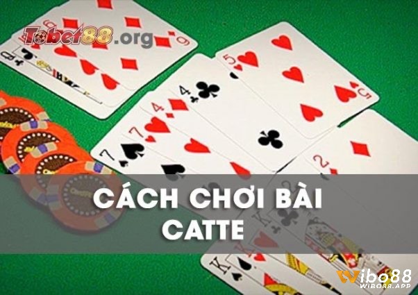 Cùng wibo88 tìm hiểu cách chơi catte đơn giản và hiệu quả nhất nhé