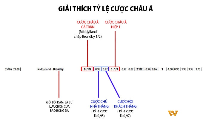 Cách tính trong tỷ lệ cược Châu Á khá phức tạp, người chơi cần nắm rõ để tránh sai sót trong quá trình đặt cược