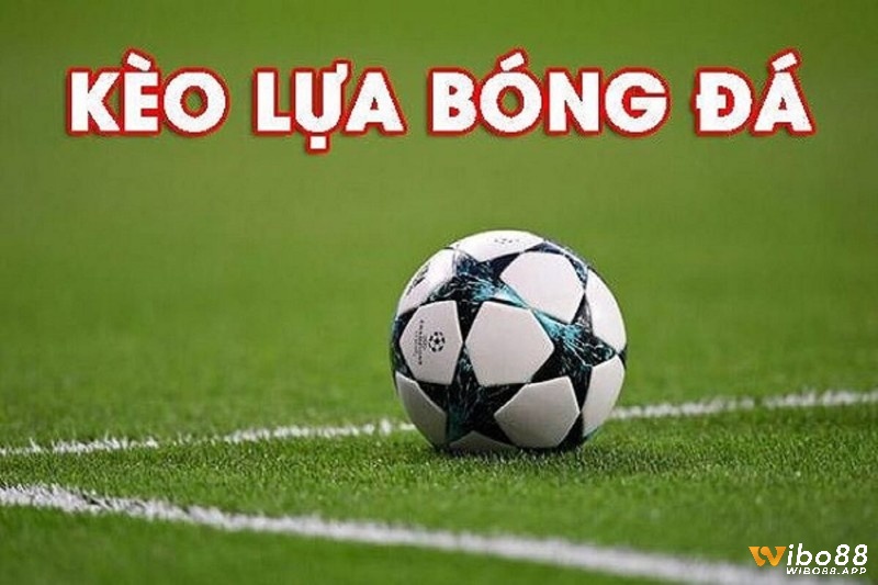 Kèo lựa là gì? Hiểu đơn giản là kèo mà người chơi được tự do lựa chọn