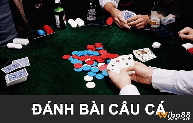 Cách chia bài câu cá 2 người - Tìm hiểu bài câu cá là gì?