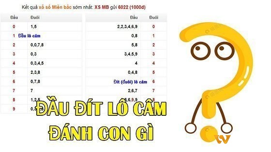 Đầu đít lô câm đánh con gì?