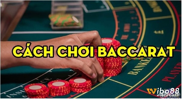 Kinh nghiệm sử dụng Cách đánh baccarat hay nhất