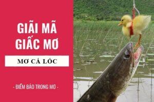 Chiêm bao thấy cá lóc đánh con gì cho dễ trúng lô đề nhất?