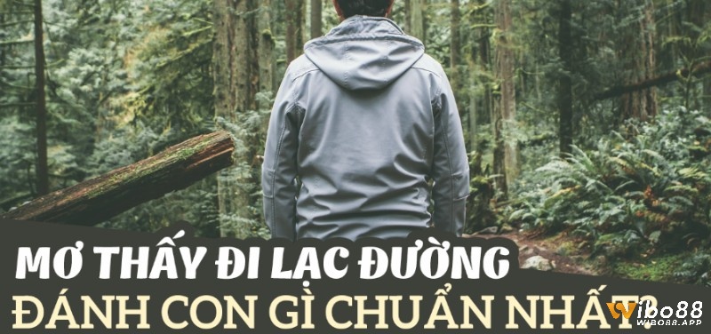 Chiêm bao thấy đi lạc đường đánh con gì dễ trúng