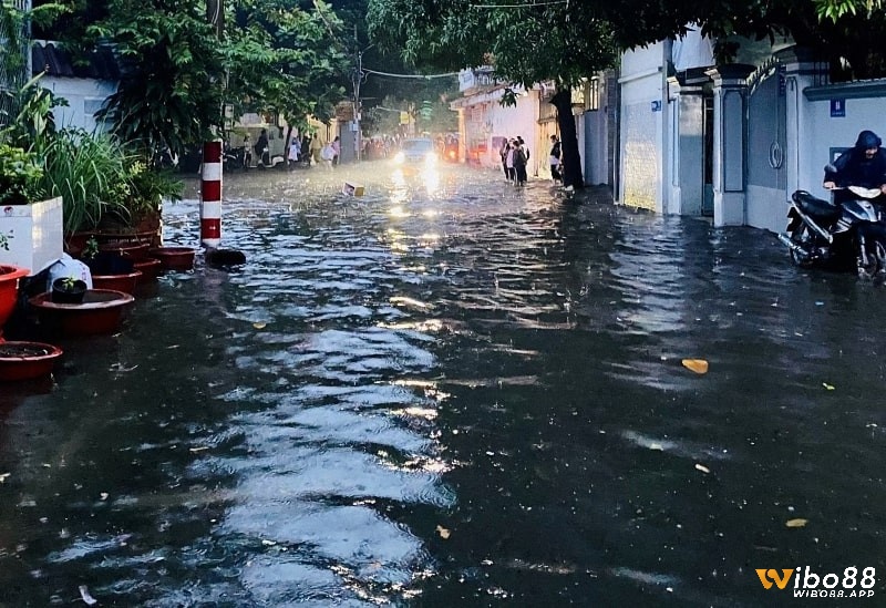 Chiêm bao thấy nước ngập là điềm báo tốt hay xấu