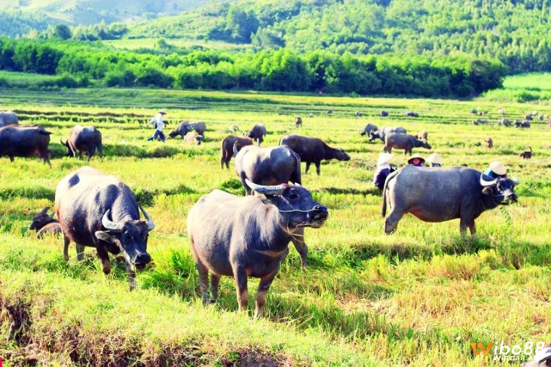  Nắm rõ dự báo để có sự chuẩn bị cho tương lai 