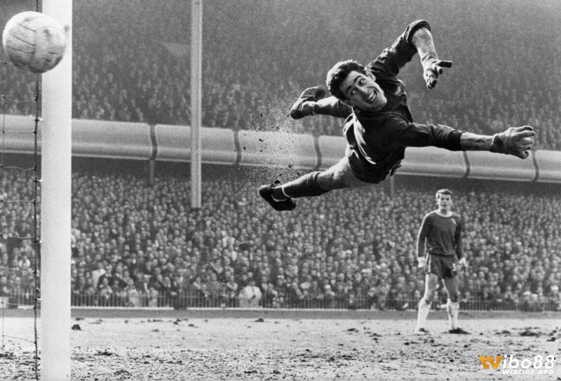 Một trong những thủ môn hay nhất Chelsea phải kể đến Peter Bonetti