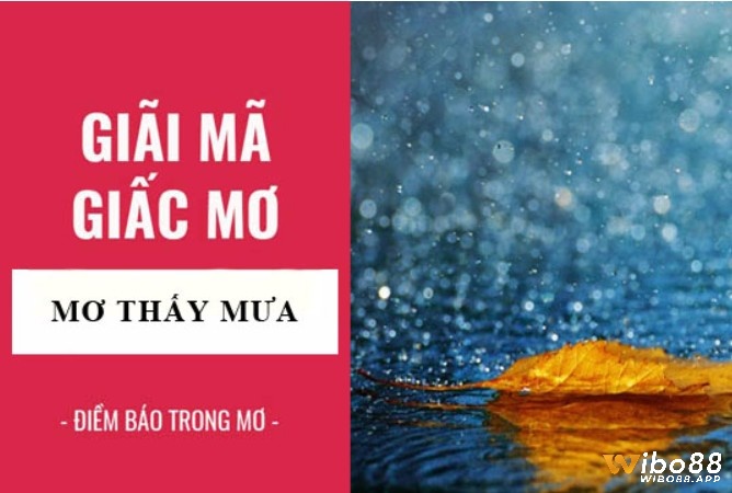 Chiêm bao thấy mưa là điềm báo gì? Giải đáp