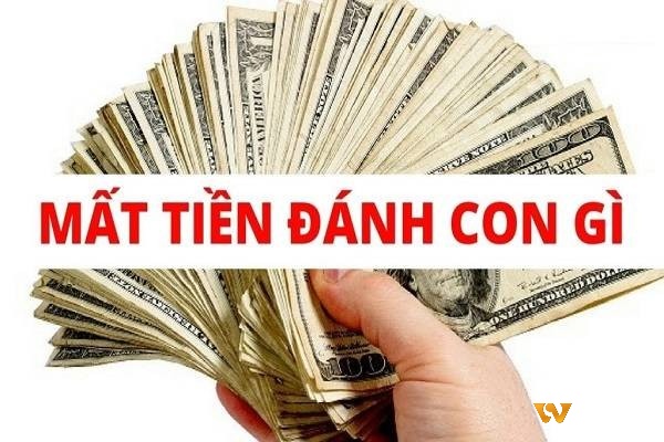 Chiêm bao thấy mất tiền và con số mang về lộc lá 