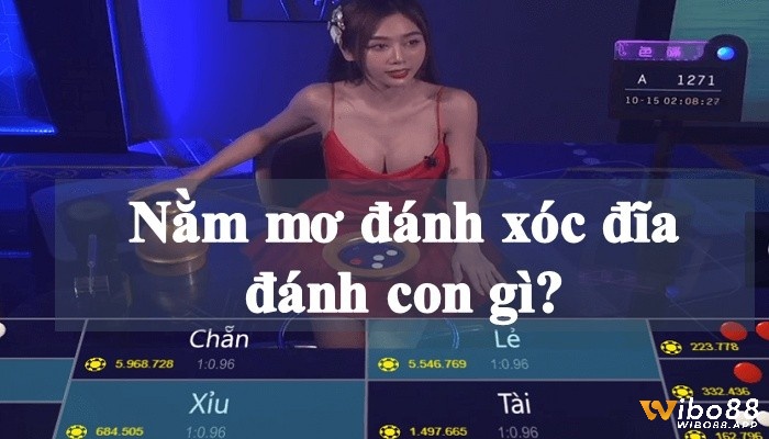 Nằm mơ đánh xóc đĩa đánh con gì cho dễ trúng