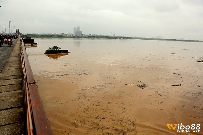 Chiêm bao thấy nước sông dâng cao cảnh báo bạn sắp dính phải những rắc rối