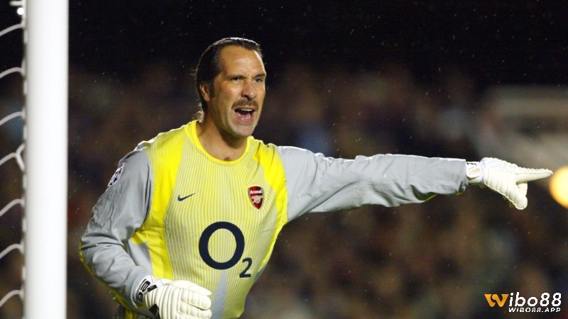 David Seaman là thủ môn có khả năng xử lý các tình huống mặt đối mặt hay nhất Arsenal