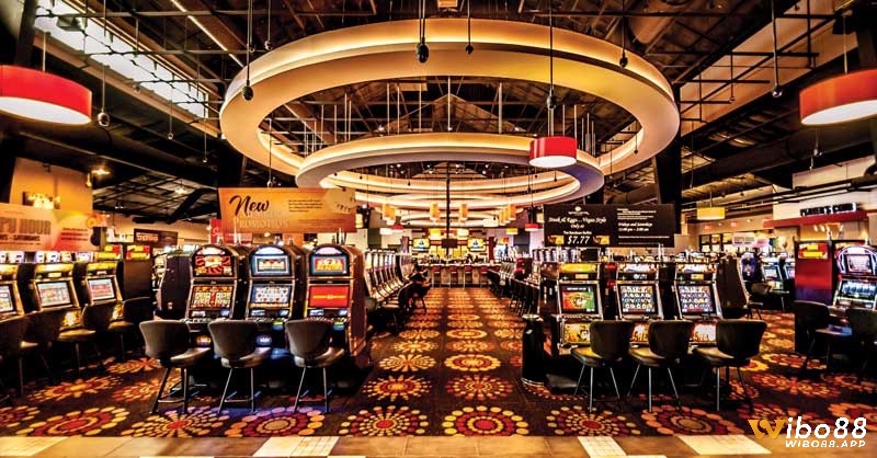 Cùng wibo88.site tìm hiểu về vấn đề hợp pháp hóa casino trực tuyến ở việt nam nhé 