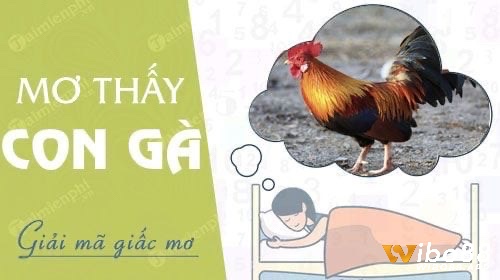 Cùng Wibo88 giải mã giấc mơ thấy gà đẻ trứng nhé 