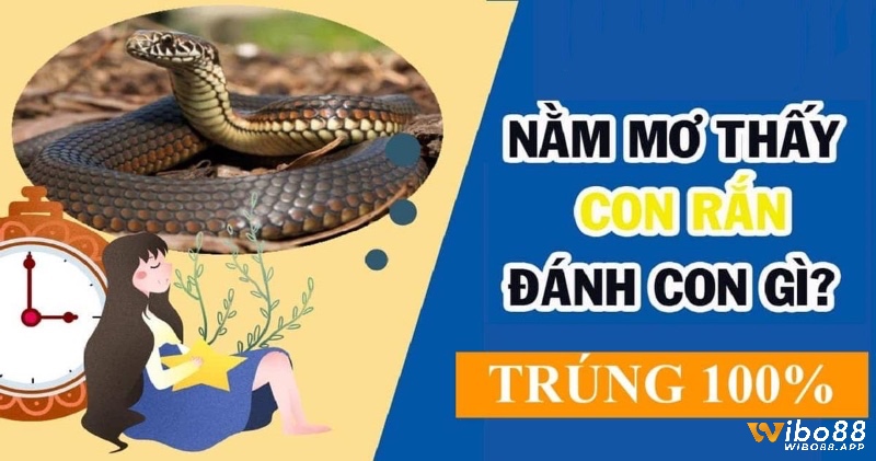 Giải mã giấc mơ thấy rắn quấn quanh người cũng là gợi ý về con số mang lại may mắn