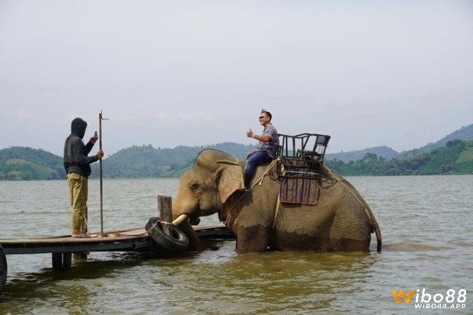 Mơ thấy cưỡi voi cho thấy rằng cuộc sống của bạn đang trong trạng thái ổn định